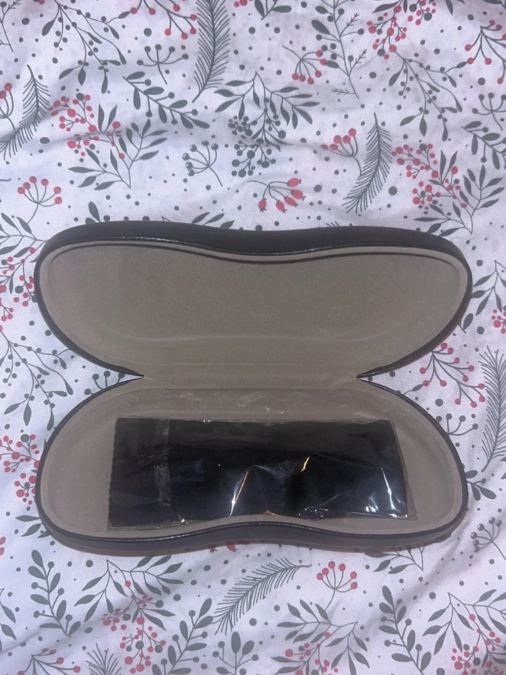 Ray-Ban Black Hard Sunglasses Case